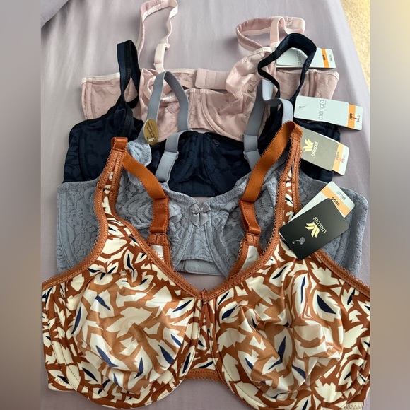 Women's Intimates Collection - Assorted Colors - Picture 1 of 2